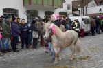 Dateiname=2016_12_26__5997~0.jpg
Dateigröße=131KB
Abmessungen: 800x533
hinzugefügt am: %01. %306 %2017 2016_12_26__5997~0.jpg