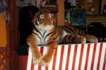 2010_04_22_05302.jpg