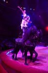 2017_02_01__2784.jpg