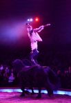 2017_02_01__2785.jpg