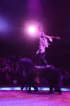 2017_02_01__2788.jpg