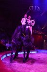 2017_02_01__2799.jpg