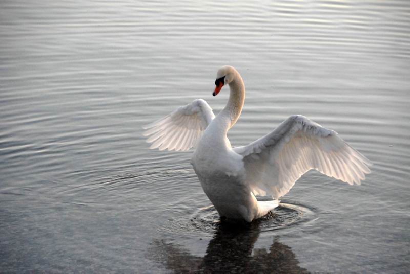 2008_01_08__01260_.jpg