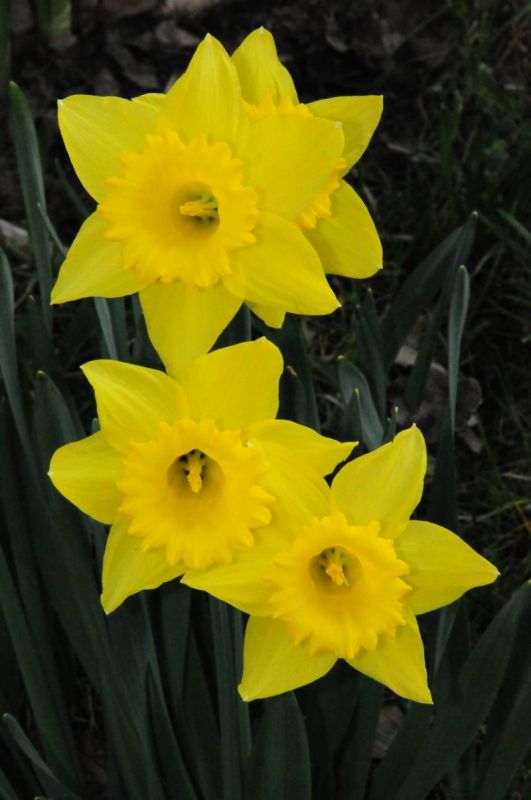 2009_04_09_07134_.jpg