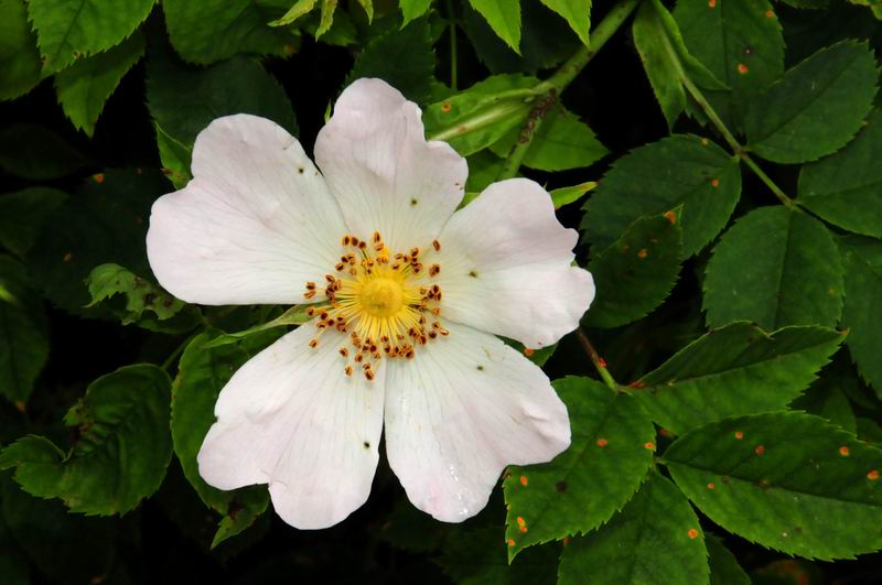 2010_06_07_04104.jpg