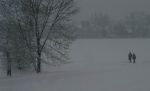 2003_02_08_000800.jpg