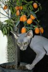 2004_12_25_0088000.jpg