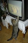 2005_01_24__000029.jpg