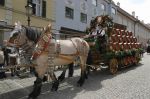 2005_08_13__000213.jpg
