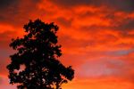 2006_08_20__0741.jpg