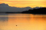 2008_01_08__00147_.jpg
