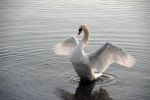 2008_01_08__01260_.jpg