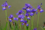 2008_05_17__00637_.jpg