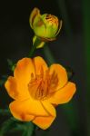 2008_05_24__09293_.jpg