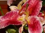 2009_10_20_00028.jpg