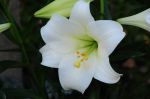 2009_11_01_00713.jpg