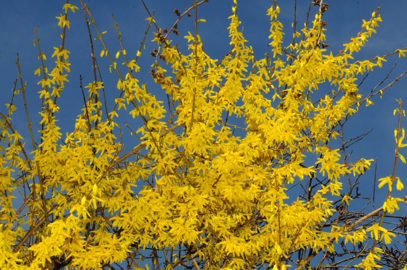 2011_04_03__2991.jpg