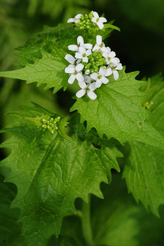 2011_04_25__7260.jpg