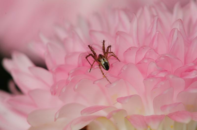 2011_05_11__0482.jpg