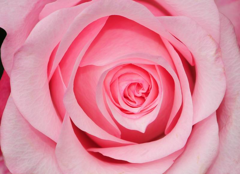 2011_05_11__0604.jpg