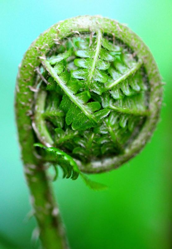 2011_05_14__3899.jpg