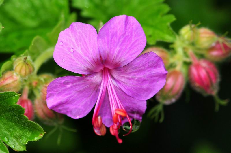 2011_05_16__4748.jpg