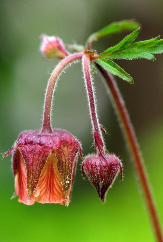 2011_05_16__4801.jpg