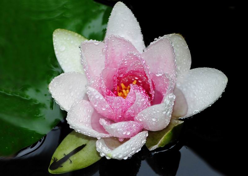 2012_09_01_03070.jpg