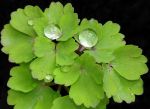 2011_03_28_0081900.jpg