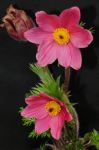 2011_03_31__1767.jpg