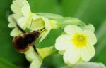 2011_04_08__0092.jpg
