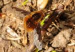 2011_04_08__011700.jpg