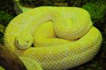 2011_04_13__2278.jpg