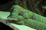 2011_04_13__3553.jpg