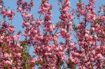 2011_04_21__2551.jpg