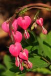 2011_04_25__7039.jpg