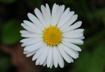 2011_04_25__7086.jpg
