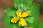 2011_04_25__7156.jpg