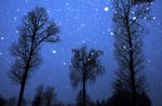 2011_12_20_0_037880.jpg