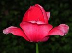2012_05_05__10015.jpg