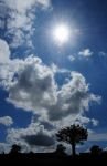2012_06_13__06332.jpg