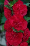 2012_07_23__05196.jpg