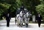 Filename=2017_06_29_002563~0.jpg
Filesize=108KiB
Dimensions=800x544
Date added=Jun 30, 2017 2017_06_29_002563~0.jpg