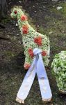 Dateiname=2017_06_29_002910~0.jpg
Dateigröße=127KB
Abmessungen: 511x800
hinzugefügt am: %30. %821 %2017 2017_06_29_002910~0.jpg