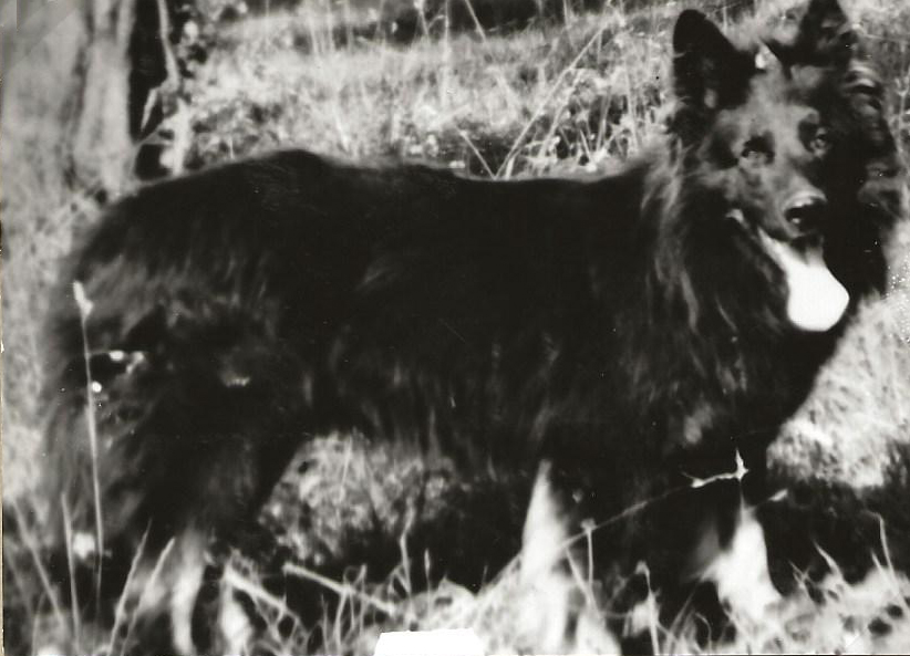 1945-1966_Taufkirchen_08.jpg