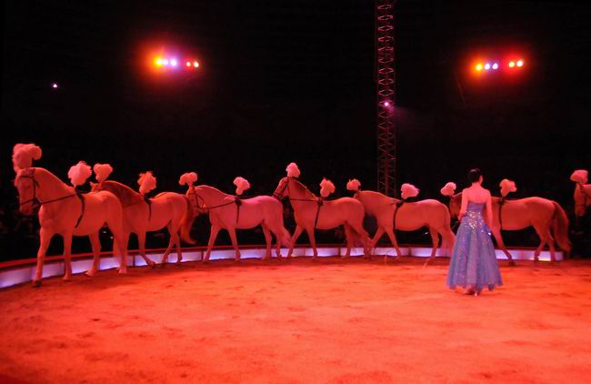 2011_12_25__05655.jpg