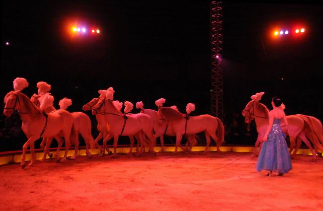 2011_12_25__05674.jpg