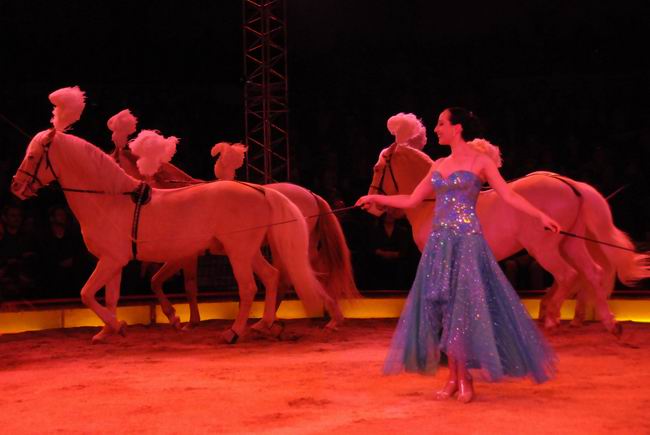2011_12_25__05689.jpg