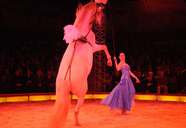 2011_12_25__05766.jpg
