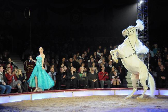 2011_12_25__05807.jpg